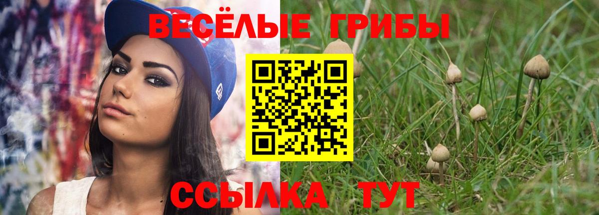 Галлюциногенные грибы GOLDEN TEACHER Кольчугино