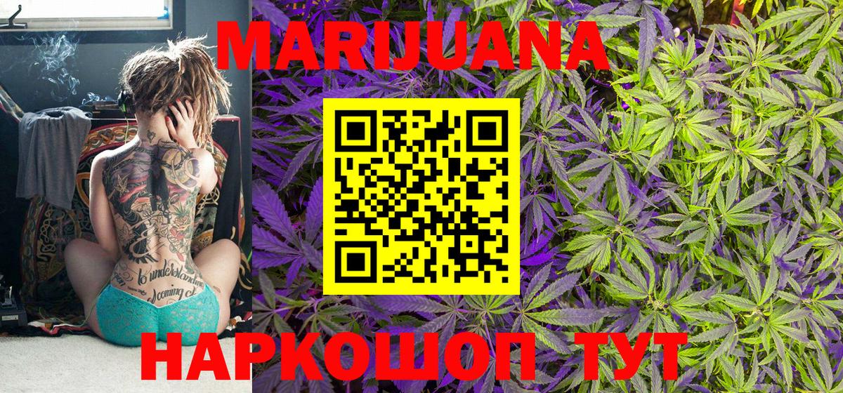 Шишки марихуана план  Вход с VPN  Кольчугино  Бошки марихуана семена 
